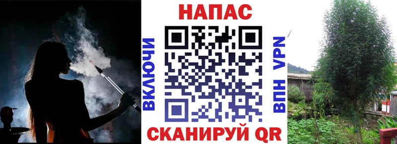 где найти   Руза  Шишки марихуана гибрид 